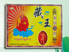 藏王追風(fēng)磁貼
