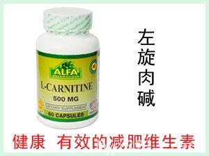 美國ALFA L-Carnitine左旋肉堿營養(yǎng)膠囊 60粒
