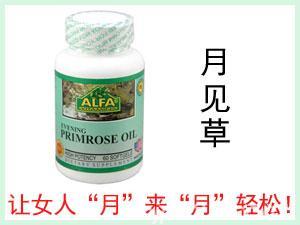 美國ALFA Evening Primerose Oil月見草油膠囊60粒
