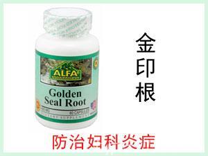 美國ALFA Golden Seal Root 金印根提取物膠囊 60粒