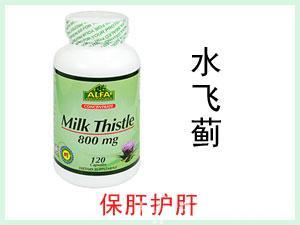 美國ALFA Milk Thistle 奶薊提取物膠囊 120粒