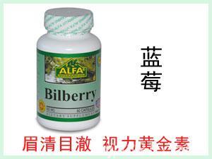 美國ALFA Bilberry藍莓提取物膠囊 500mg 60粒