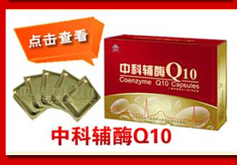 ?п???Q10-2009????С???